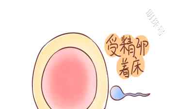 耐心等待,这三个信号揭示你是否成功受孕