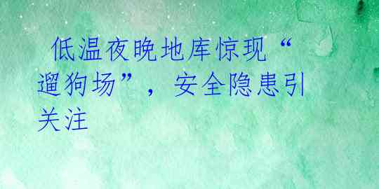 低温夜晚地库惊现“遛狗场”,安全隐患引关注