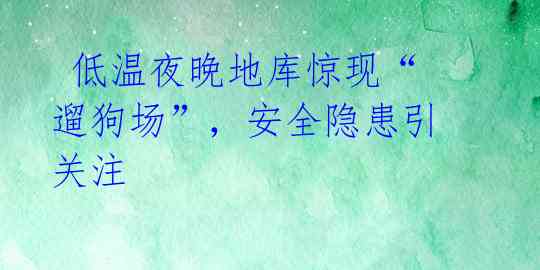  低温夜晚地库惊现“遛狗场”，安全隐患引关注 