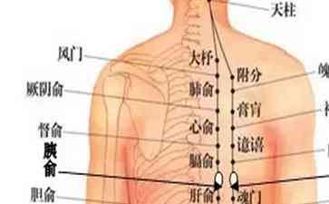  背部按摩疗法，帮助改善糖尿病体质 