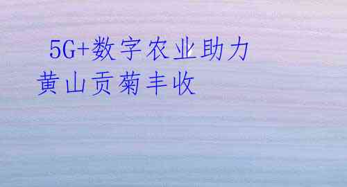 5G+数字农业助力黄山贡菊丰收
