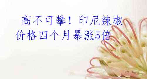 高不可攀!印尼辣椒价格四个月暴涨5倍