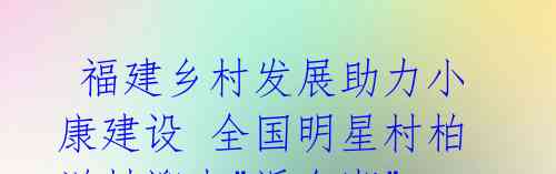 福建乡村发展助力小康建设 全国明星村柏洋村迎来"返乡潮"