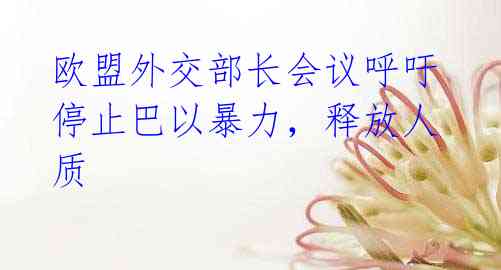 欧盟外交部长会议呼吁停止巴以暴力,释放人质