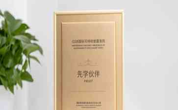 能链智电荣获国际可持续披露准则先学伙伴称号