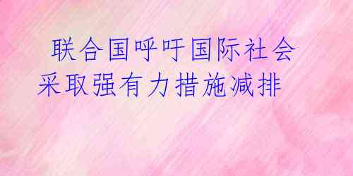  联合国呼吁国际社会采取强有力措施减排
