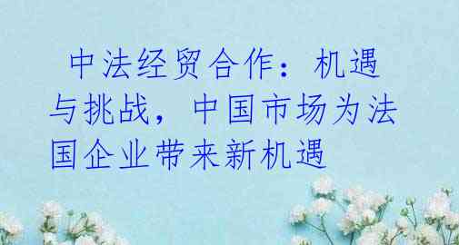 中法经贸合作:机遇与挑战,中国市场为法国企业带来新机遇
