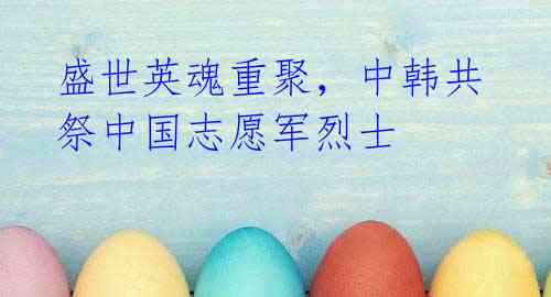 盛世英魂重聚,中韩共祭中国志愿军烈士