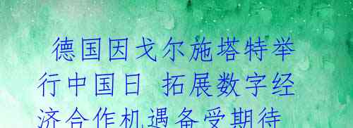 德国因戈尔施塔特举行中国日 拓展数字经济合作机遇备受期待