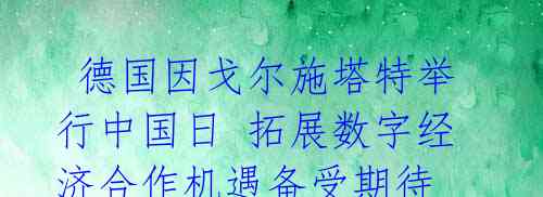  德国因戈尔施塔特举行中国日 拓展数字经济合作机遇备受期待 