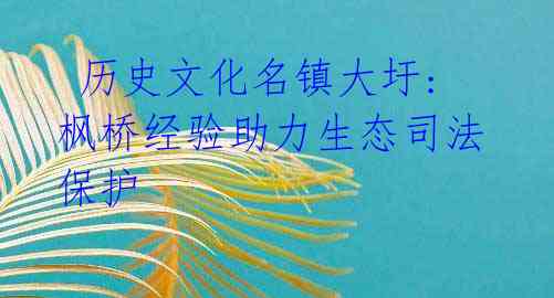 历史文化名镇大圩: 枫桥经验助力生态司法保护