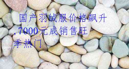 国产羽绒服价格飙升,7000元成销售旺季热门