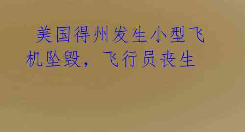 美国得州发生小型飞机坠毁,飞行员丧生