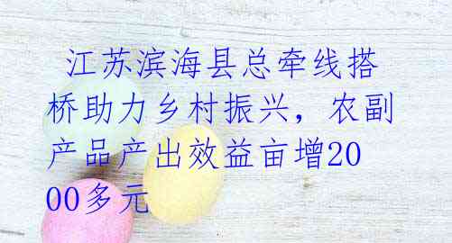 江苏滨海县总牵线搭桥助力乡村振兴,农副产品产出效益亩增2000多元