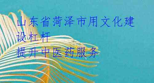 山东省菏泽市用文化建设杠杆 提升中医药服务