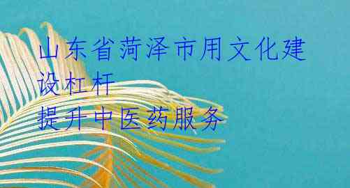 山东省菏泽市用文化建设杠杆 提升中医药服务 