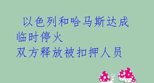  以色列和哈马斯达成临时停火 双方释放被扣押人员 