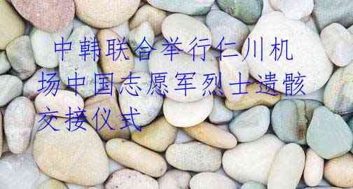 中韩联合举行仁川机场中国志愿军烈士遗骸交接仪式