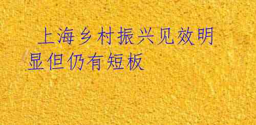  上海乡村振兴见效明显但仍有短板 