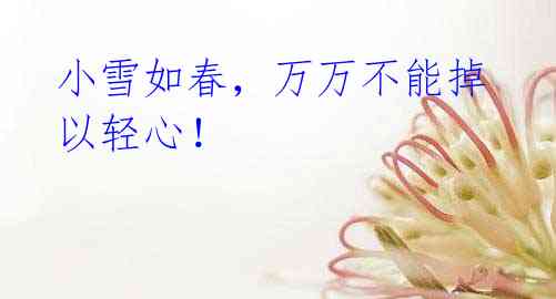 小雪如春,万万不能掉以轻心!