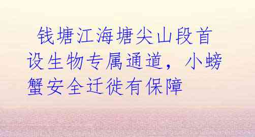 钱塘江海塘尖山段首设生物专属通道,小螃蟹安全迁徙有保障