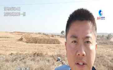 巴以停火协议生效,加沙地带将迎来4天和平