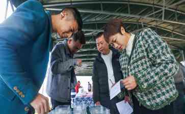 杭州举办金奖大米评选活动 吸引众多游客参观稻田文化节