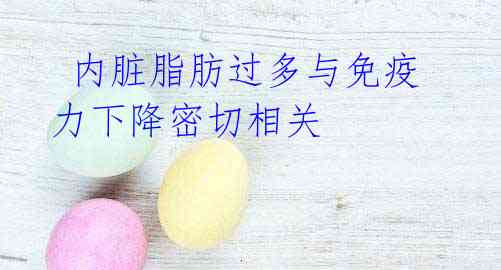 内脏脂肪过多与免疫力下降密切相关