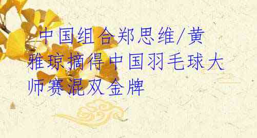 中国组合郑思维/黄雅琼摘得中国羽毛球大师赛混双金牌