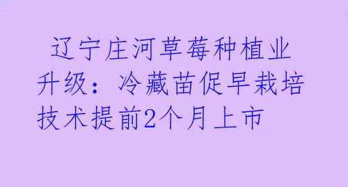 辽宁庄河草莓种植业升级:冷藏苗促早栽培技术提前2个月上市