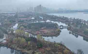荣成桑沟湾湿地公园:冬日里的生态画卷