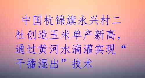  中国杭锦旗永兴村二社创造玉米单产新高，通过黄河水滴灌实现“干播湿出”技术 