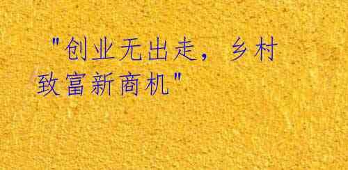  "创业无出走，乡村致富新商机"