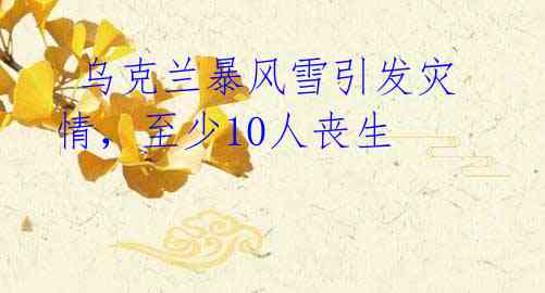 乌克兰暴风雪引发灾情,至少10人丧生