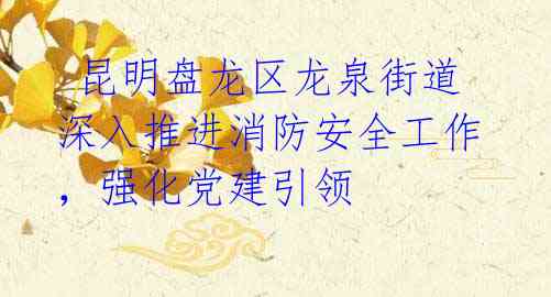 昆明盘龙区龙泉街道深入推进消防安全工作,强化党建引领