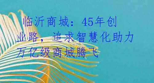 临沂商城:45年创业路,追求智慧化助力万亿级商城腾飞