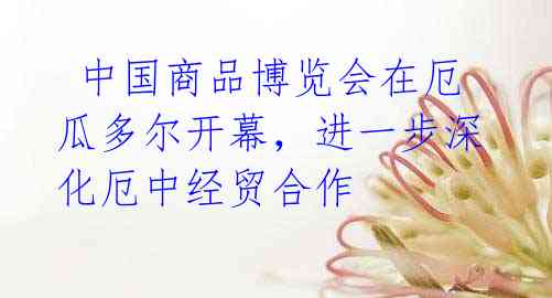 中国商品博览会在厄瓜多尔开幕,进一步深化厄中经贸合作