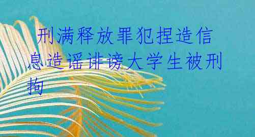 刑满释放罪犯捏造信息造谣诽谤大学生被刑拘