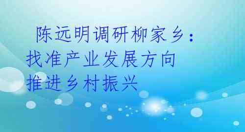 陈远明调研柳家乡:找准产业发展方向 推进乡村振兴