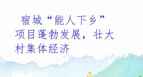 宿城“能人下乡”项目蓬勃发展,壮大村集体经济