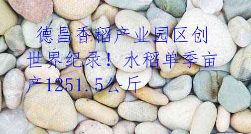 德昌香稻产业园区创世界纪录!水稻单季亩产1251.5公斤