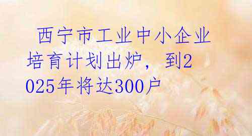 西宁市工业中小企业培育计划出炉, 到2025年将达300户
