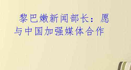 黎巴嫩新闻部长:愿与中国加强媒体合作