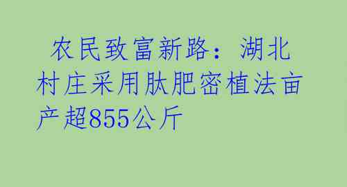 农民致富新路:湖北村庄采用肽肥密植法亩产超855公斤