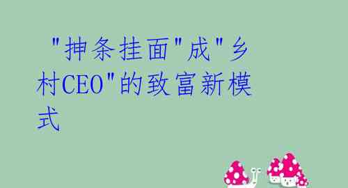  "抻条挂面"成"乡村CEO"的致富新模式 