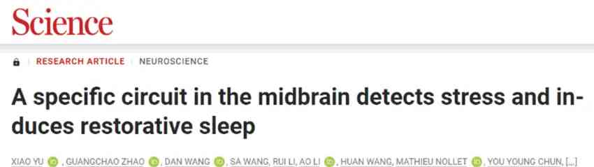 压力竟可诱发睡眠,有助减压!研究揭示"睡眠治疗"机制