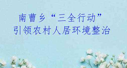 南曹乡“三全行动” 引领农村人居环境整治