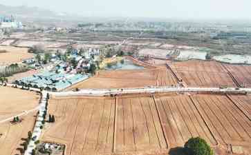 旱能浇涝能排!全市累计建成高标准农田401万亩,巢湖市烔炀镇合裕村农田已变"良田"。