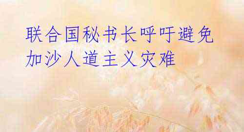 联合国秘书长呼吁避免加沙人道主义灾难