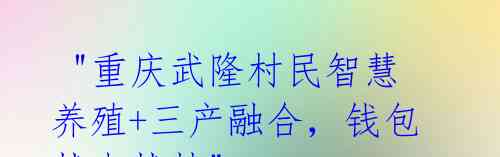 "重庆武隆村民智慧养殖+三产融合,钱包越来越鼓"